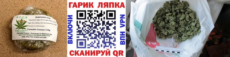 kraken как зайти  маркетплейс как зайти  Приморско-Ахтарск  Cannafood марихуана  где найти  