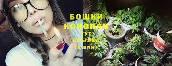 ПСИЛОЦИБИНОВЫЕ ГРИБЫ Армянск