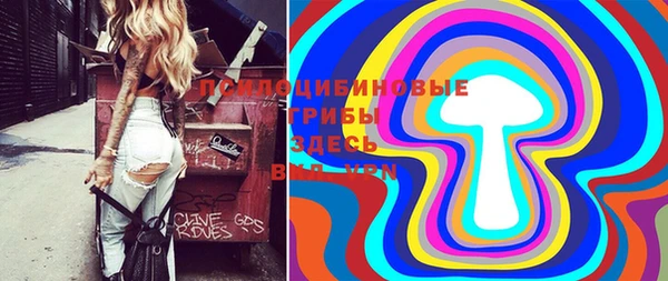 ПСИЛОЦИБИНОВЫЕ ГРИБЫ Армянск