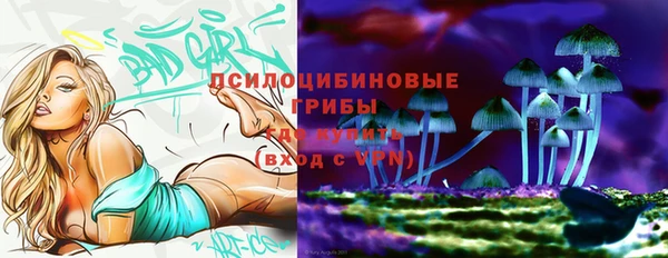 спиды Аркадак